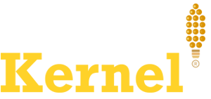 Kernel logo